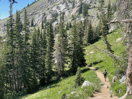 Staff Picks: Favorite Trail Running Accessories