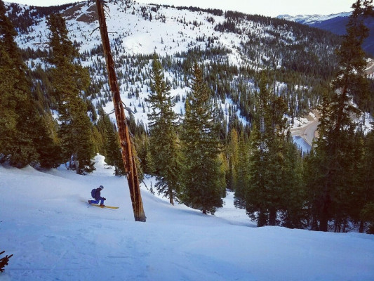 Telemo Co: Telemark Skiing for the Backcountry