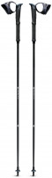Black Diamond Distance Carbon Z FKT Poles