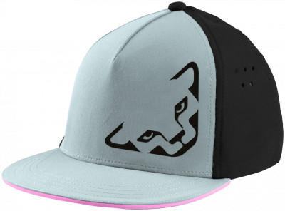 Dynafit Tech Trucker Hat