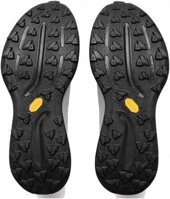 Mount to Coast T1 Shoe