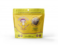 Odd Balls Organic Mushroom Energy Balls