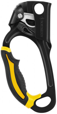 Petzl Ascension Ascender