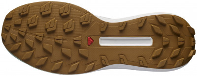 Salomon S/Lab Genesis LTD Courtney