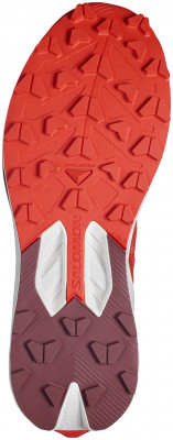 Salomon S/Lab Pulsar 4 Shoe