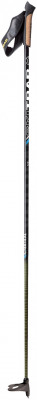 Ski Trab Vertical QC Pole