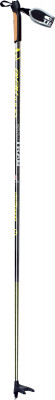 Ski Trab Vertical Piuma Pole