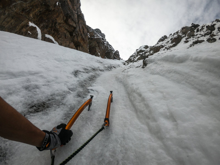 Petzl gully sales