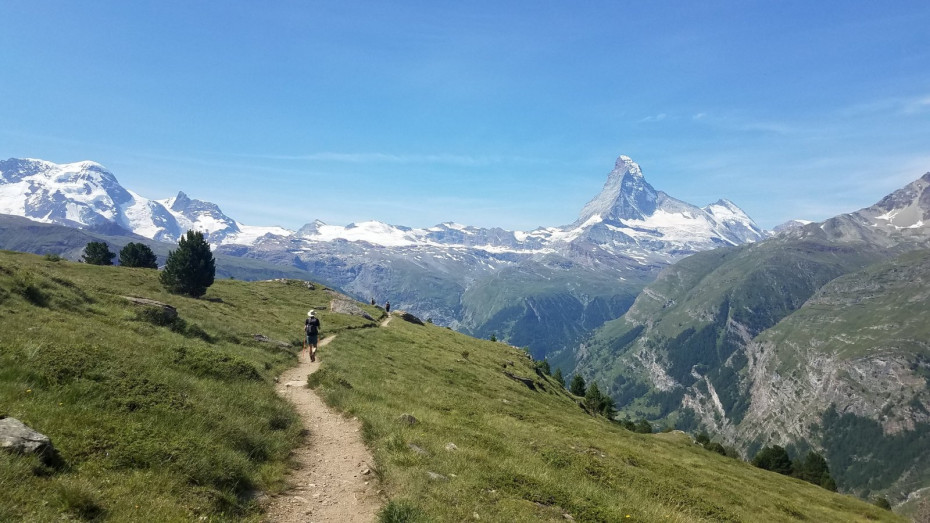 Leki micro online trail pro review