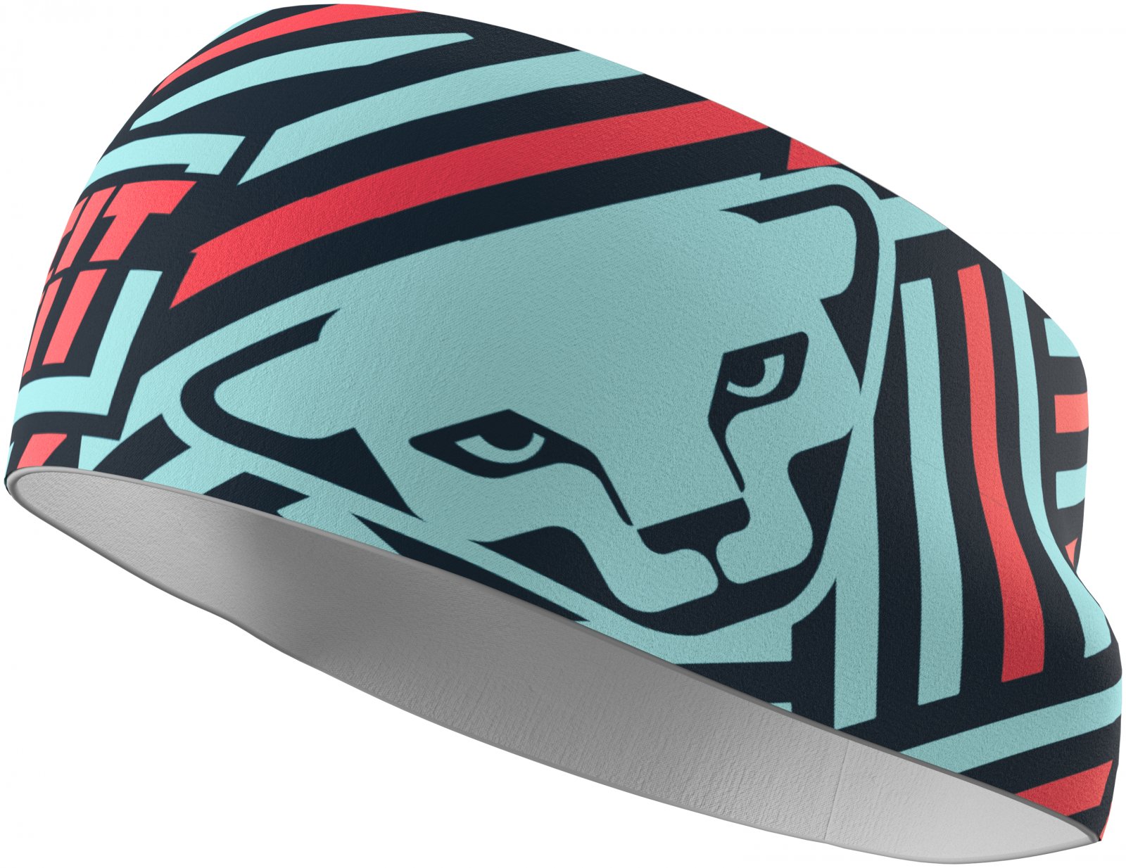 Dynafit Graphic Performance Headband