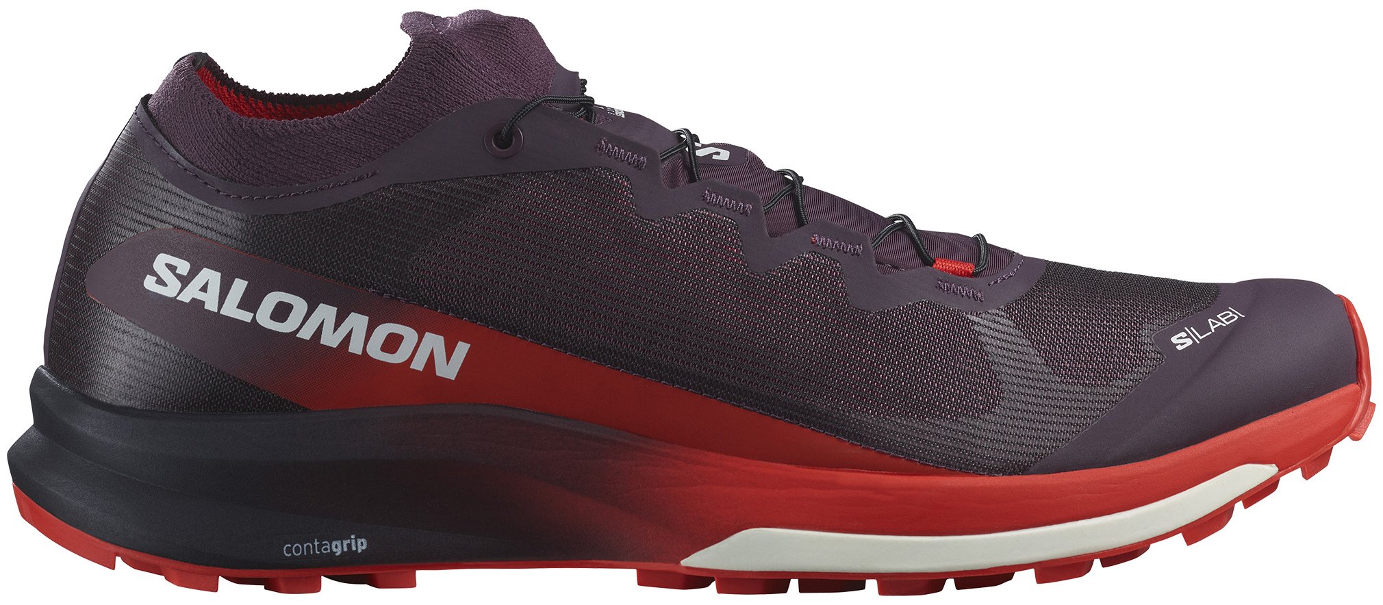 Salomon S/Lab 3 V2 Shoe