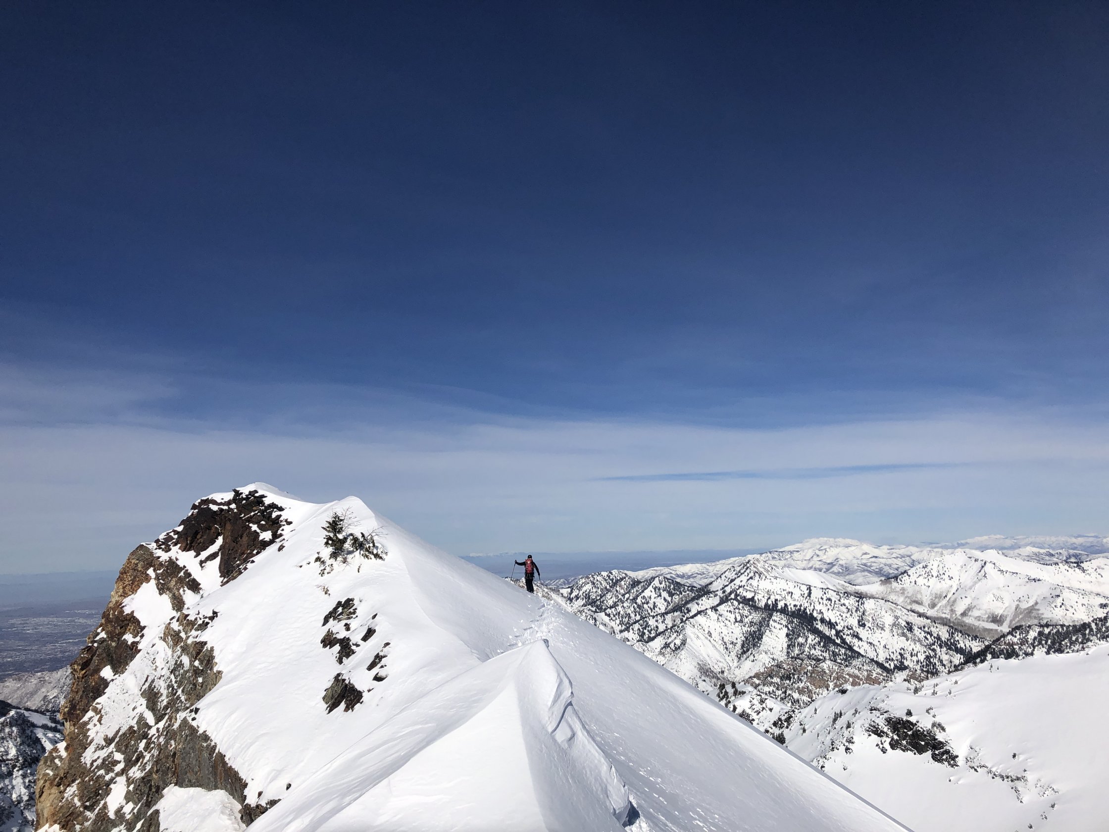 LCC Skier